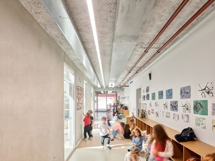 School Complex Of The Olive Tree