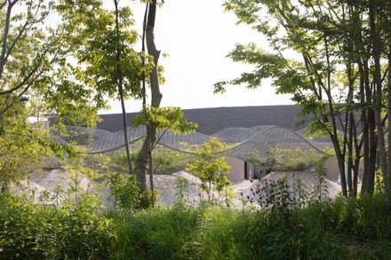 Resting Pavilion In Osaka Expo