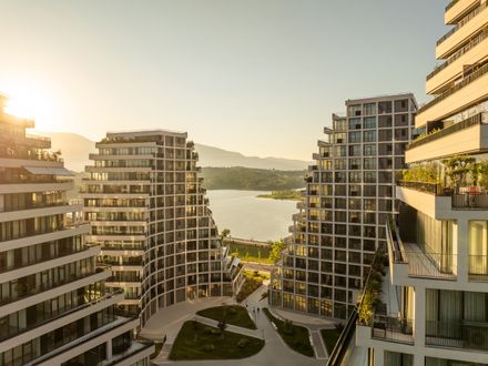 Lake Views