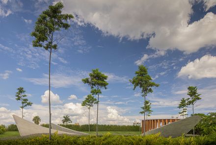 Nest Chapel