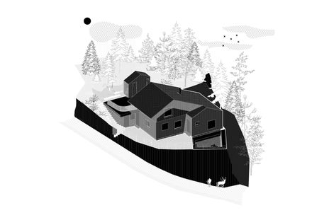Swiss Alpine Cabin Reconstruction