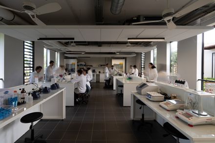Health Sciences Faculty – University Of La Réunion