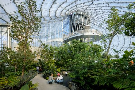 The Leaf At Assiniboine Park