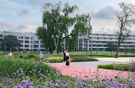 Beijing Haidian Xiaojiahe Green Dynamic World
