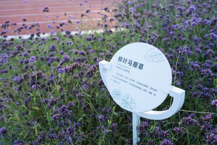 Beijing Haidian Xiaojiahe Green Dynamic World
