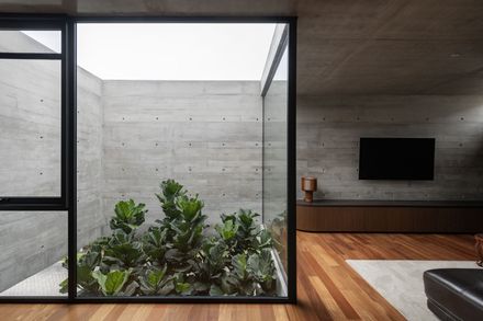 Trama House