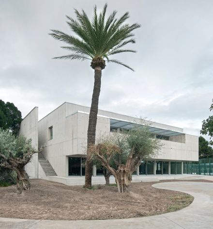 Sport Facilities Inside A Squash Court