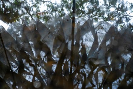 Unbearable Lightness Of Being Installation