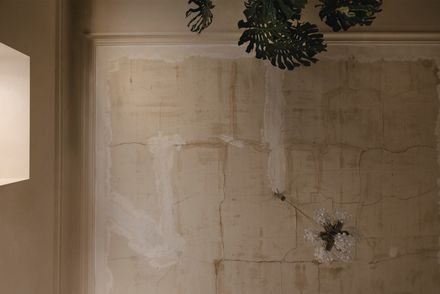 Seturi Studio