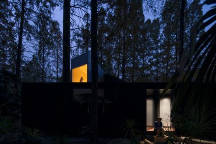 Playtime Cabin