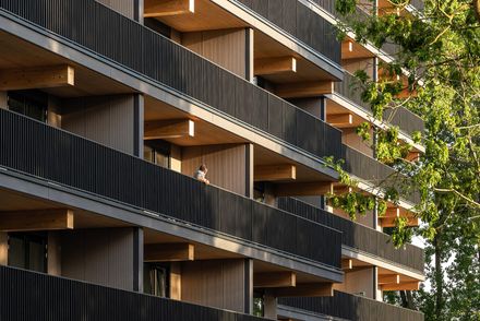 Valckensteyn - Timber Residential Building