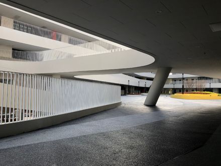 Redevelopment Of Pingshan Elementary School Into A Nine-year Integrated School