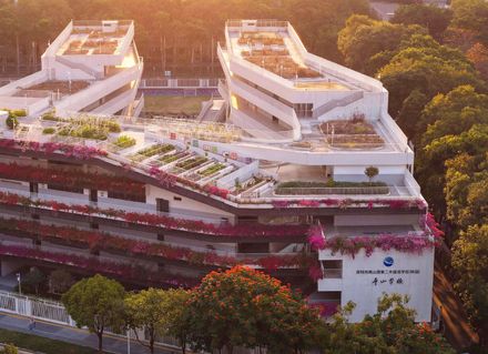 Redevelopment Of Pingshan Elementary School Into A Nine-year Integrated School