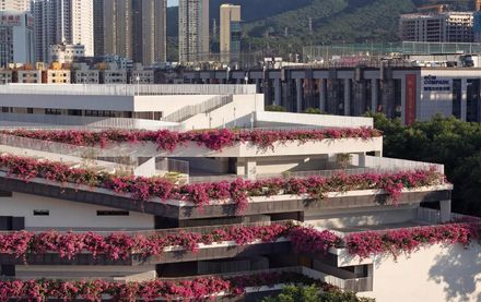 Redevelopment Of Pingshan Elementary School Into A Nine-year Integrated School