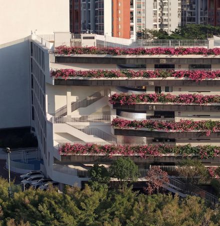 Redevelopment Of Pingshan Elementary School Into A Nine-year Integrated School
