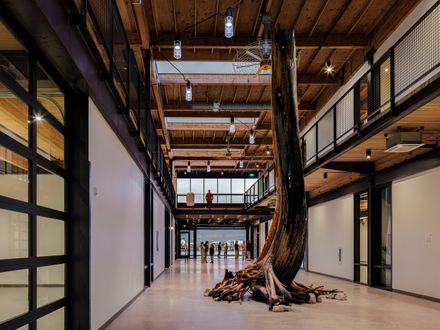 West Canal Yards
