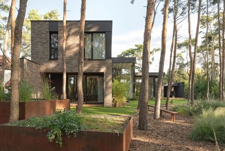 House Among The Trees