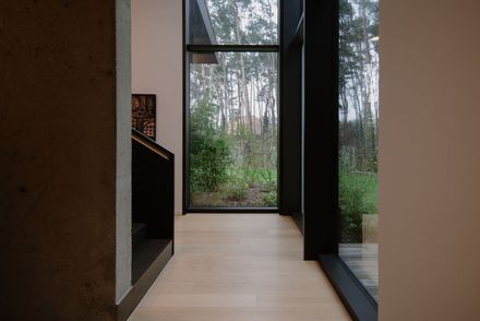 House Among The Trees