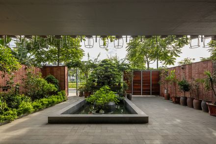 Flying Vegetation