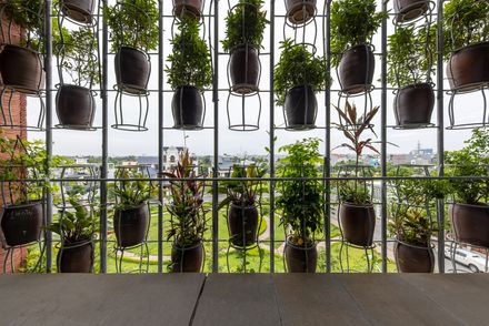 Flying Vegetation