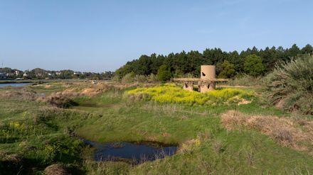 A Discovery Pavilion In The Longyou Wetlands
