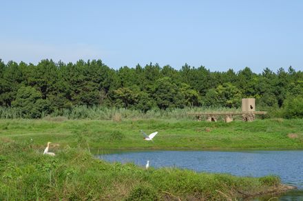 A Discovery Pavilion In The Longyou Wetlands