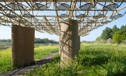 A Discovery Pavilion In The Longyou Wetlands