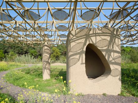 A Discovery Pavilion In The Longyou Wetlands