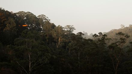 The Southern Lookout