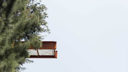 The Southern Lookout