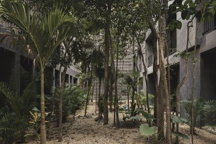 Casa Selva - Housing For Hospitality Workers