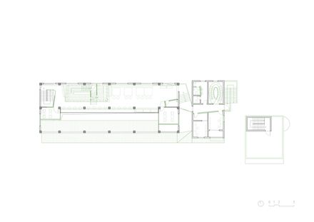 Ancient Banyan Plaza Renovation
