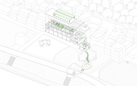 Ancient Banyan Plaza Renovation