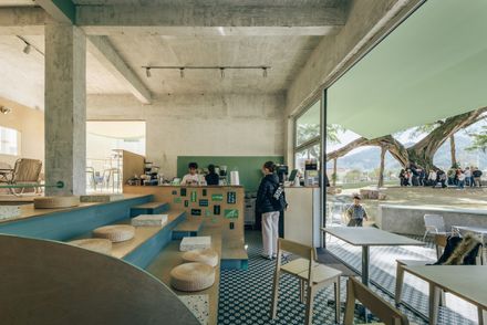 Ancient Banyan Plaza Renovation