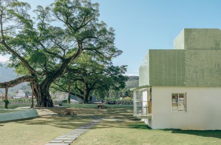 Ancient Banyan Plaza Renovation