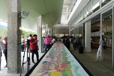 Ancient Banyan Plaza Renovation