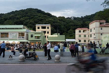 Ancient Banyan Plaza Renovation