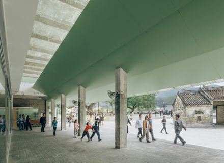 Ancient Banyan Plaza Renovation