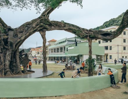 Ancient Banyan Plaza Renovation