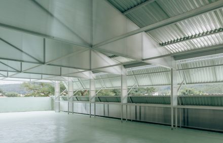 Ancient Banyan Plaza Renovation