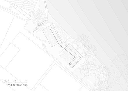 Osmanthus Yard
