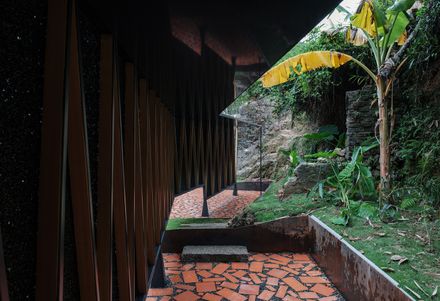 Osmanthus Yard