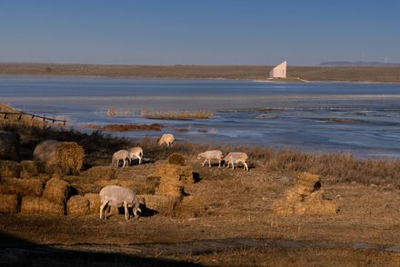 Prairie Ark And Nomads' Beacon Tower
