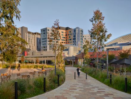 Children’s Hospital At Westmead