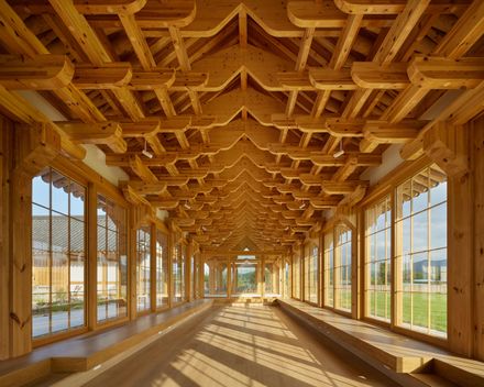 House For Rejuvenation