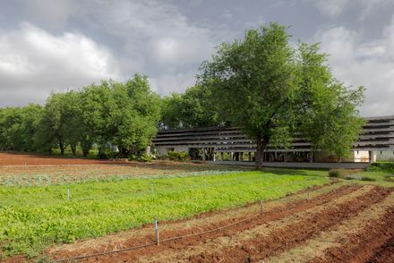555 Sunshine Farmshop