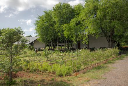 555 Sunshine Farmshop