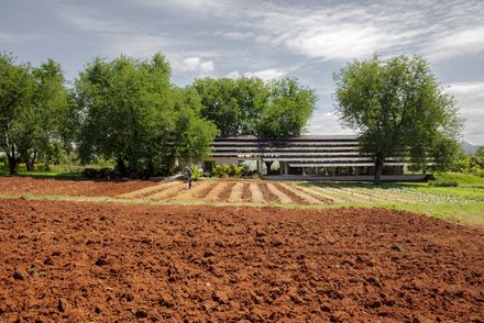 555 Sunshine Farmshop