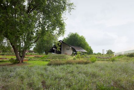 555 Sunshine Farmshop