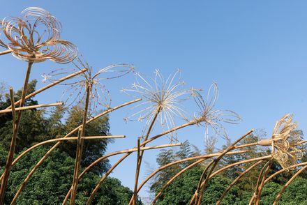 Bent By Spring